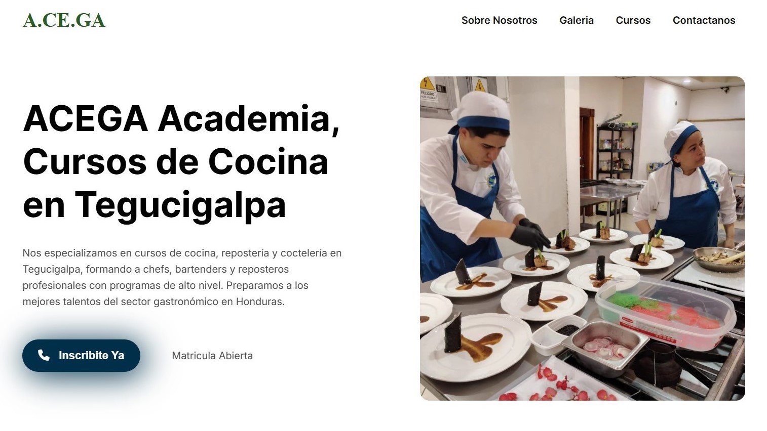 Diseño web profesional en Honduras